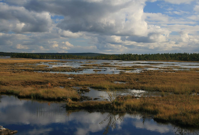 Skandynawia